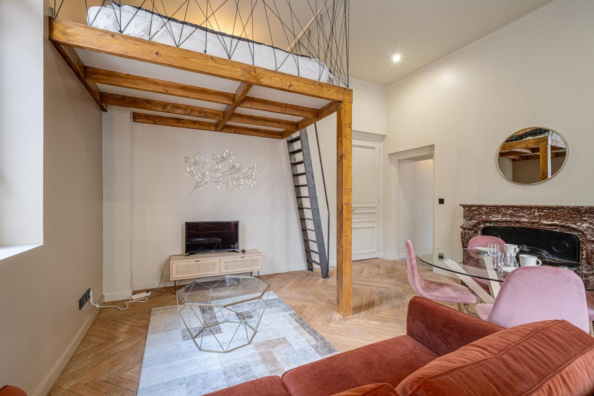 Le Poudre Cours Fauriel Magnifique Appartement Σαιντ-Ετιέν Εξωτερικό φωτογραφία